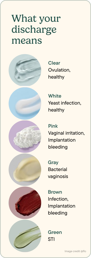 Discharge Check Guide