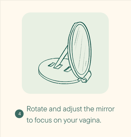 Step 5